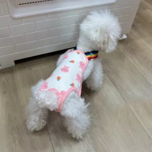 Tả Bỉm Sinh Lý - Yếm Có Dây Cho Chó Cái Thỏ Hồng/ Hoa Vàng