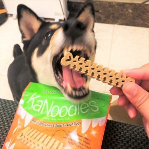 [Forcans] KẸO BẢO VỆ RĂNG MIỆNG KANOODLES