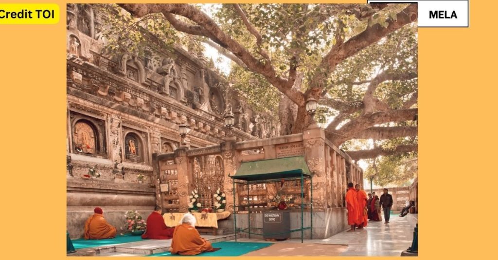 Bodhitree